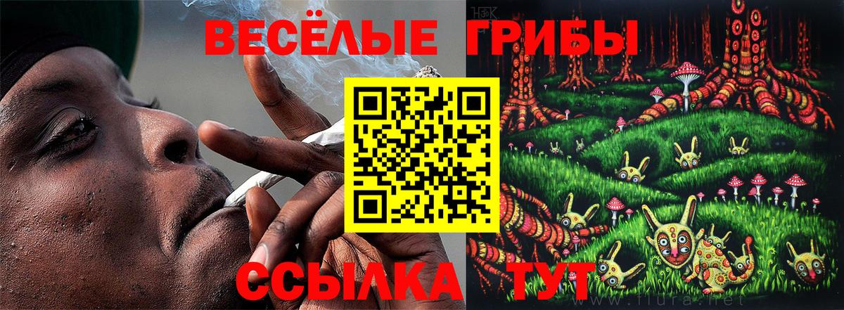 Снежинск  Галлюциногенные грибы прущие грибы  закладки  Вход с VPN 