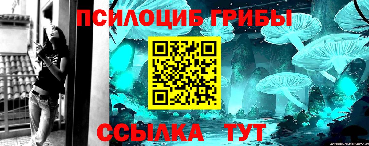 МЕФ Снежинск